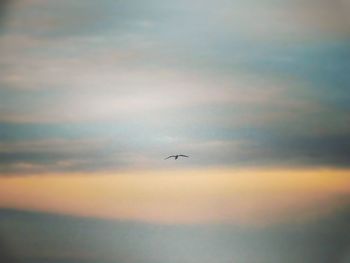 Silhouette of airplane flying in sky at sunset