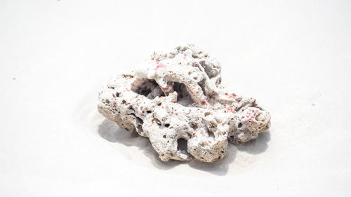 High angle view of bread on white background