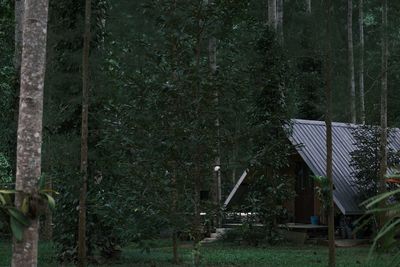 Empty chairs and tables in forest