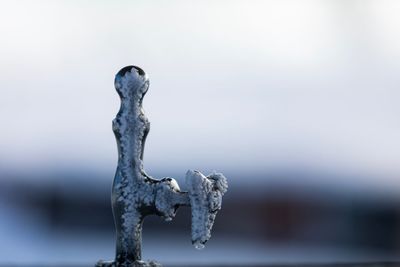 Close-up of snow on metal against sky