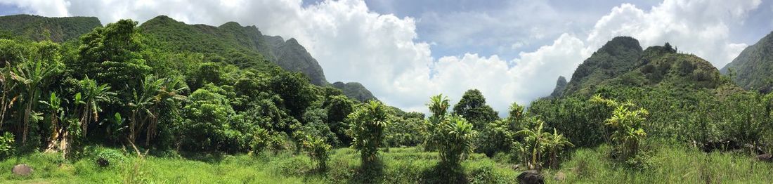 Panoramic view of trees on landscape against sky