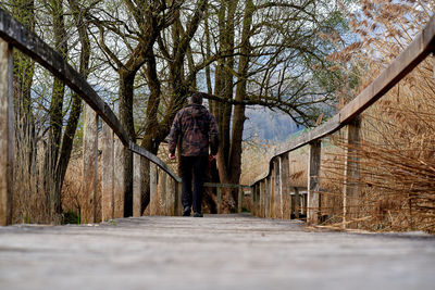 Rear view of man walking on footpath amidst bare trees in forest