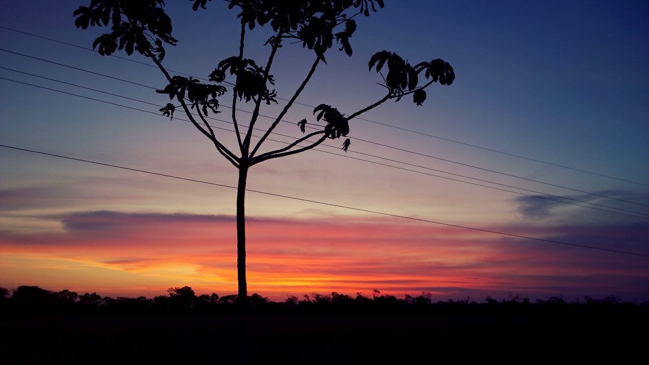 silhouette, sunset, power line, sky, electricity pylon, electricity, power supply, tranquility, tree, cable, low angle view, beauty in nature, scenics, tranquil scene, orange color, nature, connection, cloud - sky, dusk, landscape