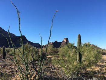 Panoramic view of landscape against clear blue sky