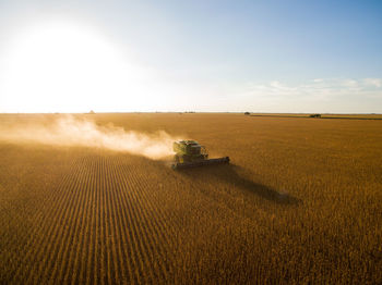 Scenic view of agricultural field against clear sky