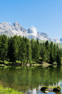 Scenic view of lake by trees against sky