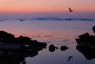 Scenic view of sea at sunset