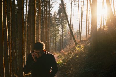 Silhouette of trees in forest