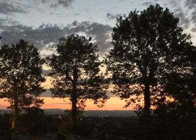 Silhouette trees against sky during sunset