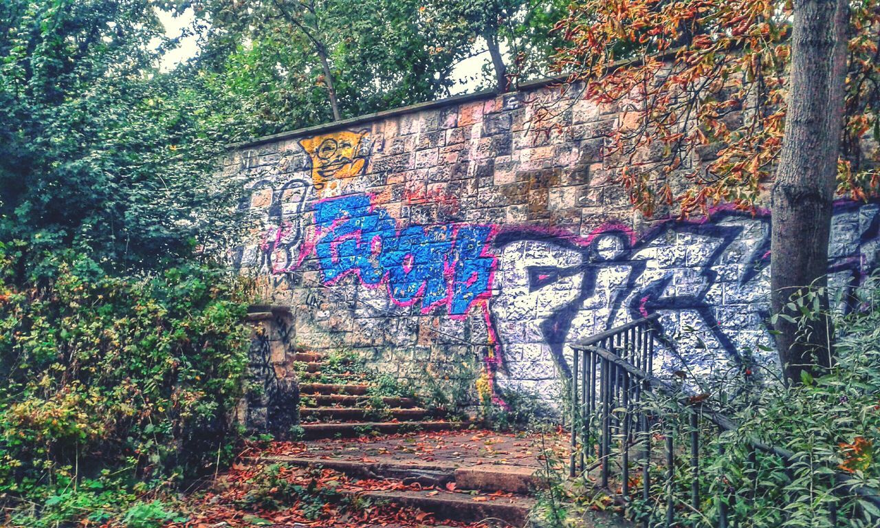 tree, built structure, architecture, graffiti, building exterior, growth, wall - building feature, plant, house, ivy, day, no people, outdoors, abandoned, multi colored, nature, steps, gate, wall, green color