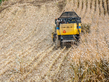 Scenic view of agricultural field