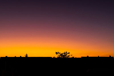 Silhouette plants on field against orange sky