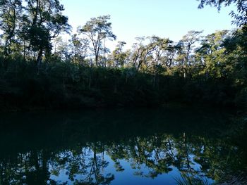 Reflection of trees in lake against sky