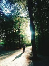 People walking on footpath