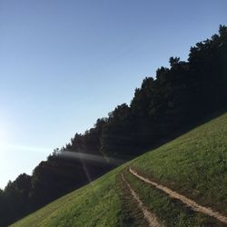 Road amidst trees against clear sky