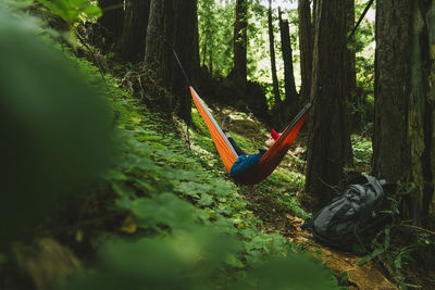 Woman relaxing on hammock in forest