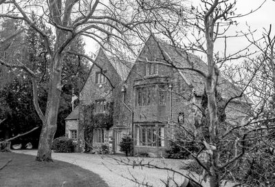 Bare trees in front of building