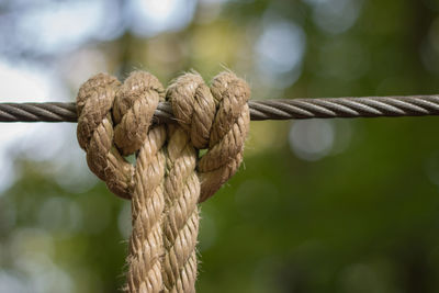 Close-up of rope tied on wood