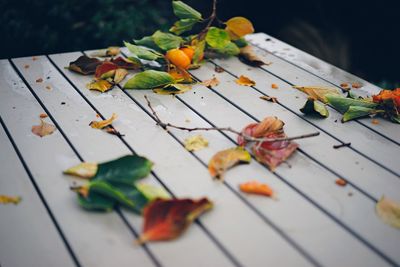 Close-up of leaves on table