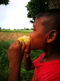 Close-up of boy eating pineapple