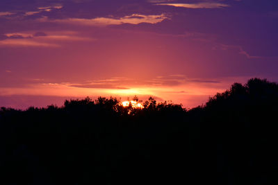 Silhouette of trees at sunset