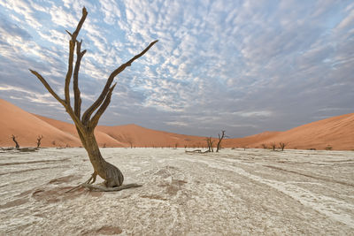 Scenic view of desert against sky