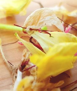 Close-up of yellow rose on table