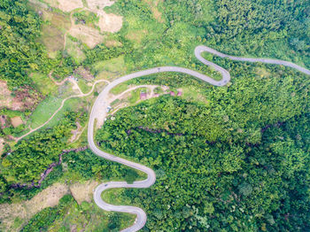 Aerial view of winding road amidst trees in forest