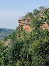 Low angle view of trees against sky