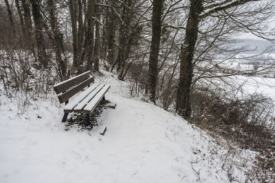 Scenic view of snow covered field