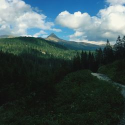 Scenic view of landscape against sky