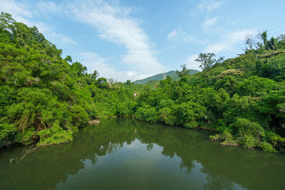 Scenic view of lake by trees against sky