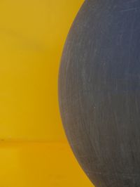 Close-up of yellow leaf