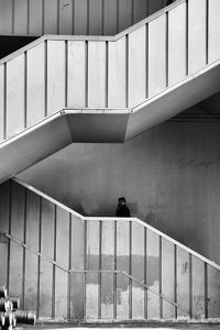 Low angle view of man standing on steps in building