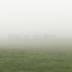 Trees on field against sky during foggy weather