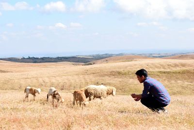 Young man crouching with sheep on field during sunny day