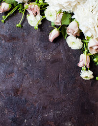 High angle view of rose plant on wood