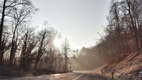 Road passing through bare trees