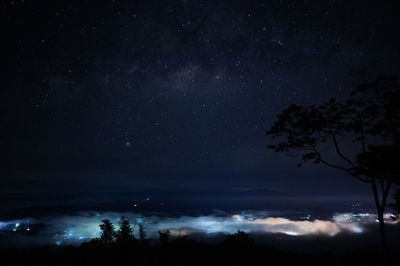 Low angle view of silhouette trees against sky at night