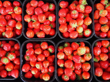 Full frame of strawberries in containers for sale