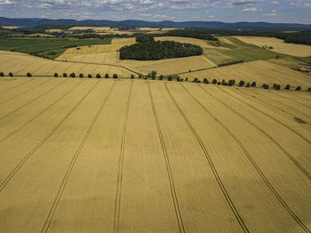 High angle view of agricultural field