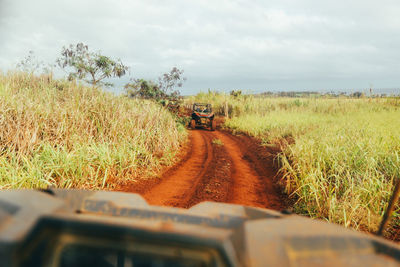 View from atv of red dirt road on kauai hawaii.