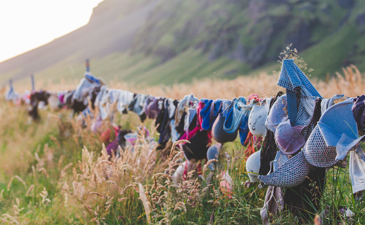 nature, land, plant, day, focus on foreground, field, clothing, environment, selective focus, no people, hanging, outdoors, grass, landscape, multi colored, sunlight, protection, growth, drying, beauty in nature, purple