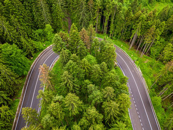 High angle view of road amidst trees in forest