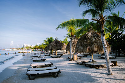 Palm trees on beach against sky