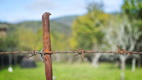 Close-up of barbed wire fence on field