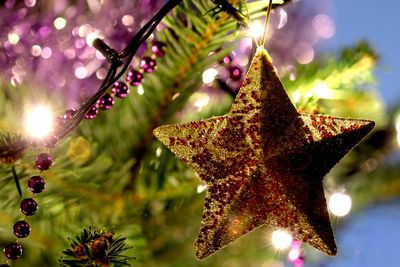 Close-up of christmas tree against sky