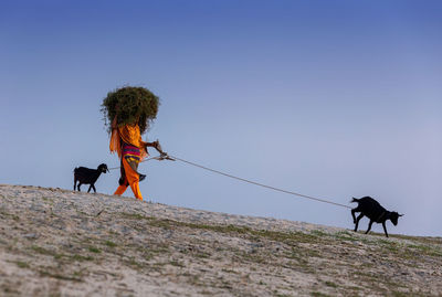 Low angle view of men walking on rope against sky