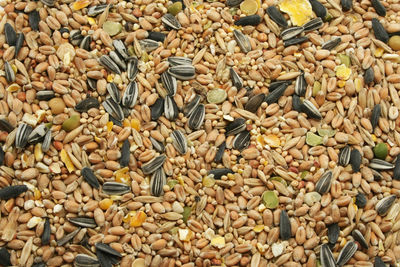 Full frame shot of various seeds