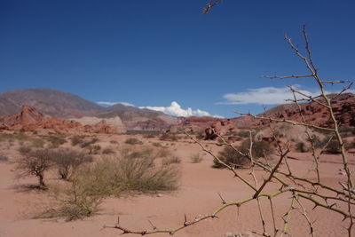 Scenic view of landscape and mountains against sky